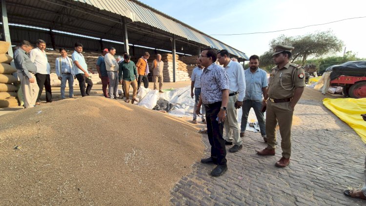 मंडी में गेहूं क्रय केंद्रों का डीएम ने किया निरीक्षण,सरकारी दर से कम में न हो खरीद 