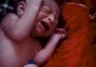 राज्यरानी एक्सप्रेस के टाॅयलेट में मिला नवजात, बीना जंक्शन पर किया रेस्क्यू, सागर मेडिकल कॉलेज भेजा