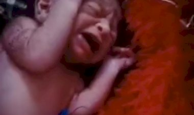 राज्यरानी एक्सप्रेस के टाॅयलेट में मिला नवजात, बीना जंक्शन पर किया रेस्क्यू, सागर मेडिकल कॉलेज भेजा