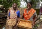 जंगल से जगमगाहट तक: जसोदाबेन ने बांस की कला से बदली कोटवालिया समाज की तकदीर"