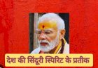 कब और कहां नजर आएगी ' सिंदूरी स्पिरिट