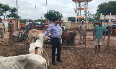 चमारी गौशाला  का औचक निरीक्षण कर डीएम ने दिखायी नाराजगी लापरवाह अफसर-कर्मचारियों पर की कार्यवाही