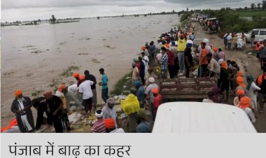 पंजाब आपदा प्रभावित राज्य घोषित: 1400 से अधिक गांव बाढ़ग्रस्त, लाखों एकड़ फसल बर्बाद