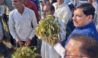 पुलिस की अव्यवस्था पर भड़के सीएम मोहन यादव,आपसे नहीं हो रहा तो छोड़ो फिर,किसानों को दिया मदद का भरोसा