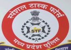 बड़ा फर्जीवाड़ा ! मप्र एसटीएफ की ग्वालियर में कार्रवाई:डीएड की फर्जी डिग्री से नौकरी पाने वाले 34 शिक्षकों पर केस