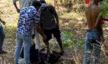 पुरानी रंजिश में तीन युवकों का अपहरण, 6 घंटे तक बीहड़ में बनाकर रखा ‘मुर्गा’, डंडों से पीटा; फंसाने को कट्टा और चोरी की बाइक रखकर बनाया वीडियो
