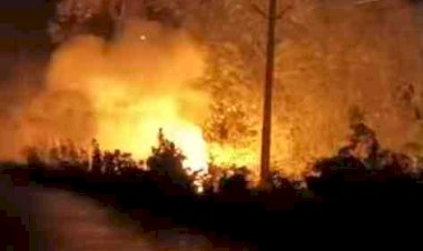 11 हजार हाईटेंशन लाइन टूटकर गिरी, भीषण आग से मची अफरा-तफरी; पुलिस, फायर ब्रिगेड और बिजली विभाग की तत्परता से टला बड़ा हादसा
