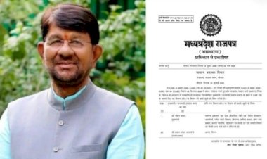 मोहन यादव का पावर मूव!राज्य मंत्री लखन पटेल को पशुपालन विभाग से हटाया,सीएम ने अपने हाथ में ली कमान; MP की राजनीति में हलचल