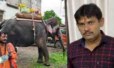हाथी को गुड़ खिलाना पड़ा भारी: सूंड से उठाकर पटकने के बाद पैर से कुचला, ऑटो चालक की मौत, CCTV में कैद हुई दर्दनाक घटना