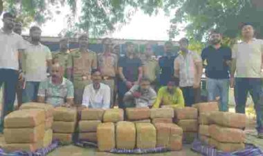 उड़ीसा से बागपत-शामली जा रही गांजे की बड़ी खेप पकड़ी, 2 कुंतल 27 किलो गांजा बरामद; चार तस्कर गिरफ्तार
