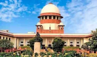आईएएस रिंकू दुग्गा को सुप्रीम कोर्ट से झटका: कुत्ता टहलाने के मामले में नौकरी बहाली पर रोक, केंद्र की याचिका पर नोटिस