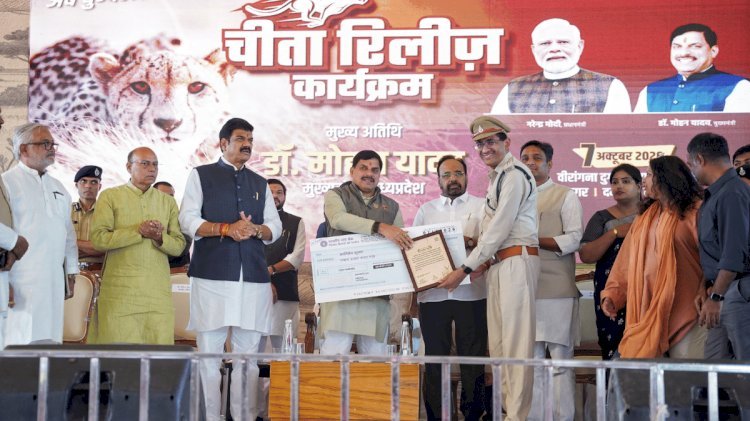114 साल का इंतजार खत्म! CM मोहन ने बुंदेलखंड के जंगल में छोड़े ‘व्योम-नीरा’, MP को मिला तीसरा चीता ठिकाना; अगले महीने आएंगे 2 और