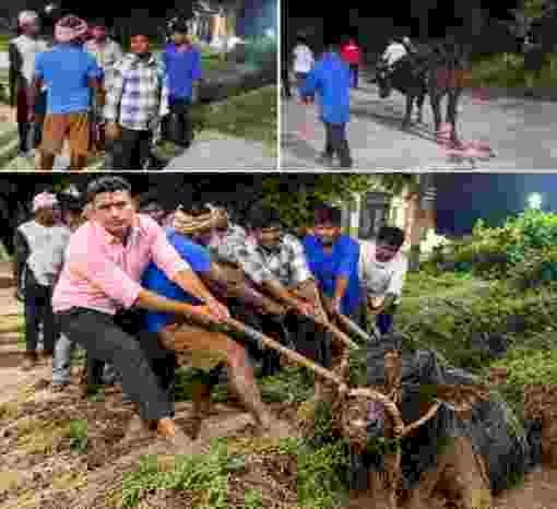 भमरौला के नाले में गिरे बेजुबान नंदी के लिए देवदूत बनी बजरंग सेवादल संगठन की टीम ग्रामीणों के सहयोग से किया सकुशल रेस्क्यू